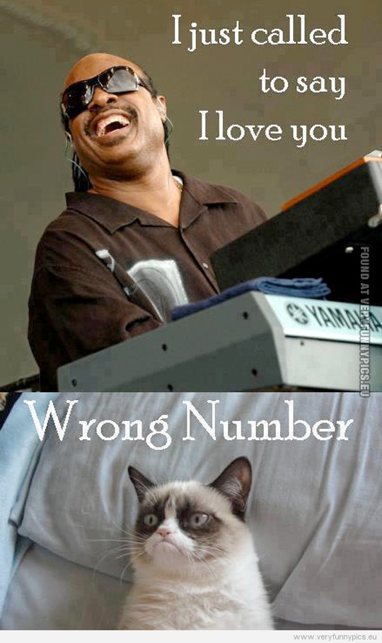 Funny Picture - Stevie wonder and grumpy cat