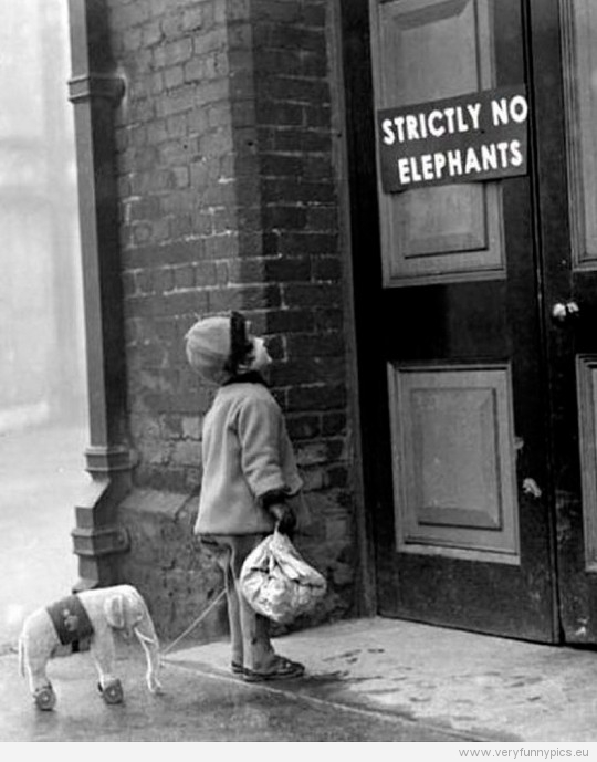 Funny Picture - Strictly no elephants