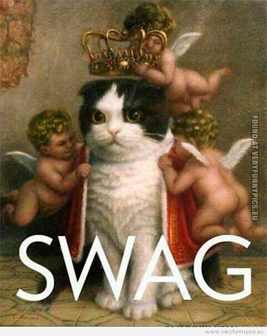 Funny Picture - That cat's got swag