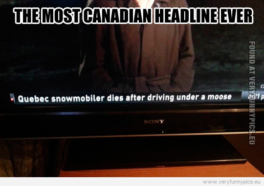 Funny Picture - The most canadian headline ever