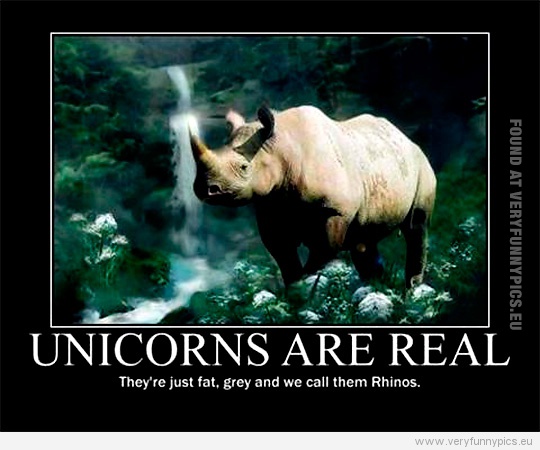 Funny Picture - Unicorns are real - They just got fat, grey and we call them rhinos