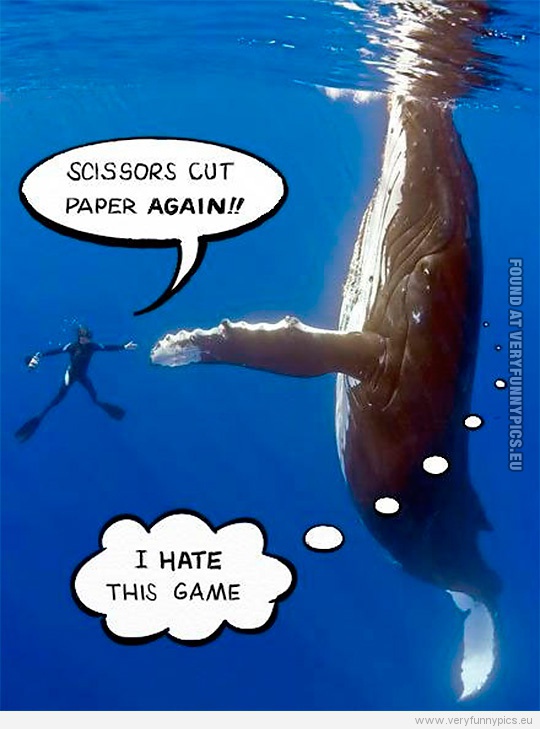 Funny Picture - Whale playing rock-paper-scissors