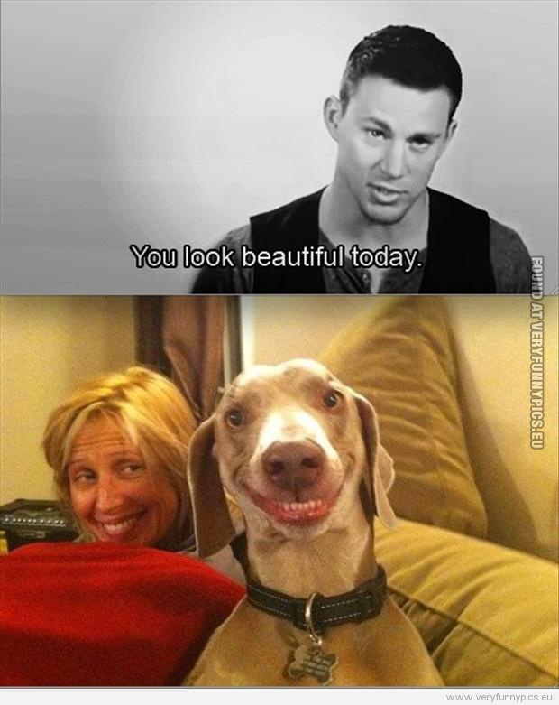 Funny Picture - You look beautiful today