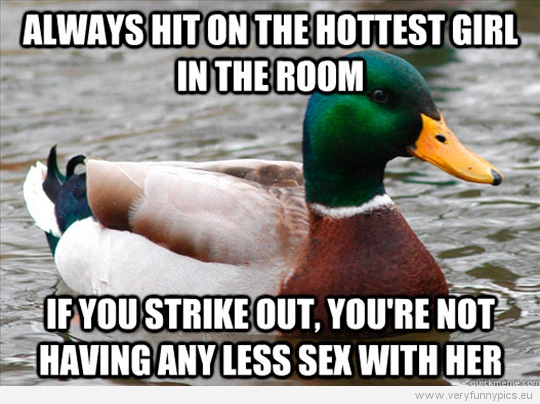 Funny Picture - Actual advice mallard - Always hit on the hottest girl in the room