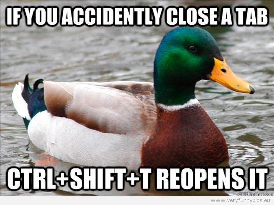 Funny Picture - Actual advice mallard - If you accidently close a tab