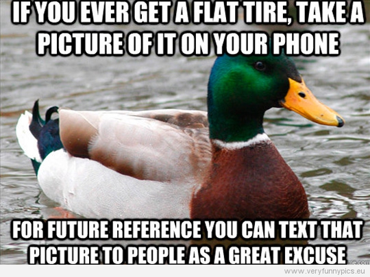 Funny Picture - Actual advice mallard - If you ever get a flat tire