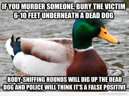 Funny Picture - Actual advice mallard - If you murder someone