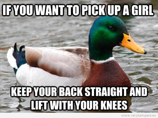 Funny Picture - Actual advice mallard - If you want to pick up a girl
