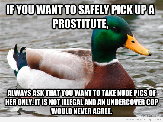 Funny Picture - Actual advice mallard - If you want to safely pick up a prostitute