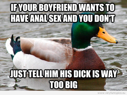 Funny Picture - Actual advice mallard - If your boyfriend wants to have anal sex