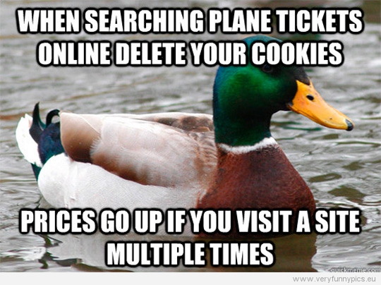 Funny Picture - Actual advice mallard - When searching plane tickets online