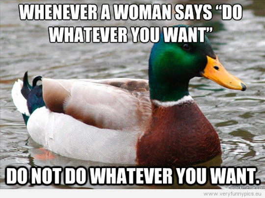 Funny Picture - Actual advice mallard - Whenever a woman says do whatever you want