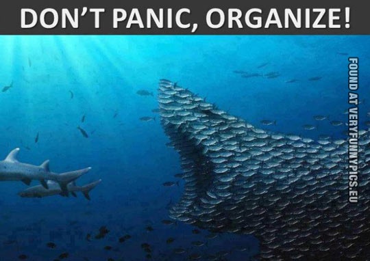 Funny Picture - Don't panic, organize