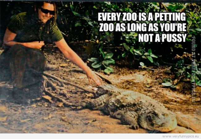 Funny Picture - Every zoo is a petting zoo as long as you're not a pussy