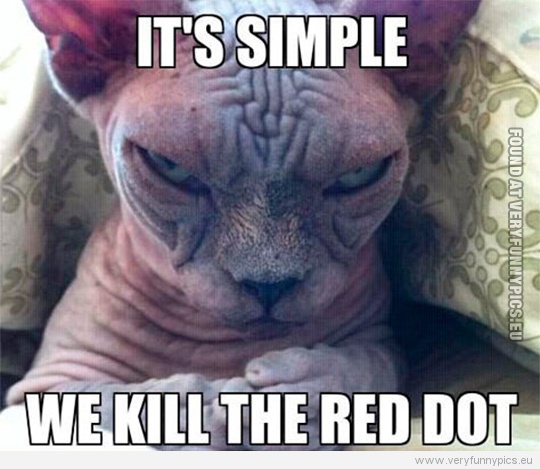 Funny Picture - Evil looking cat - It's simple - We kill the red dot
