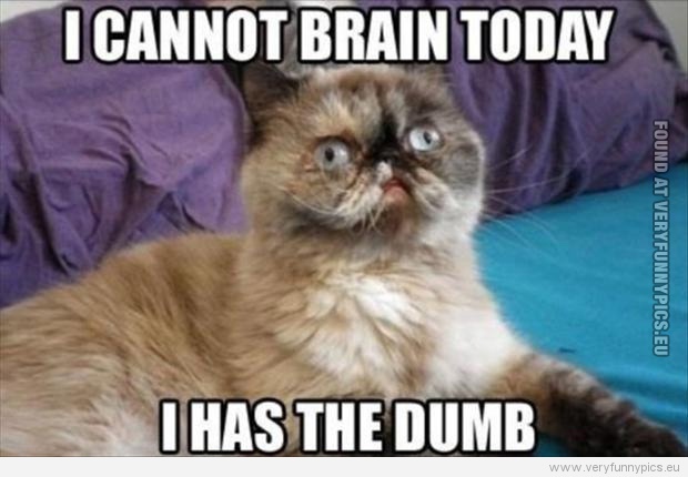 Funny Picture - I cannot brain today - i has the dumb
