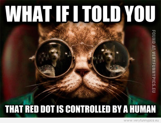 Funny Picture - Matrix cat - What if i told you that red dot is controlled by a human