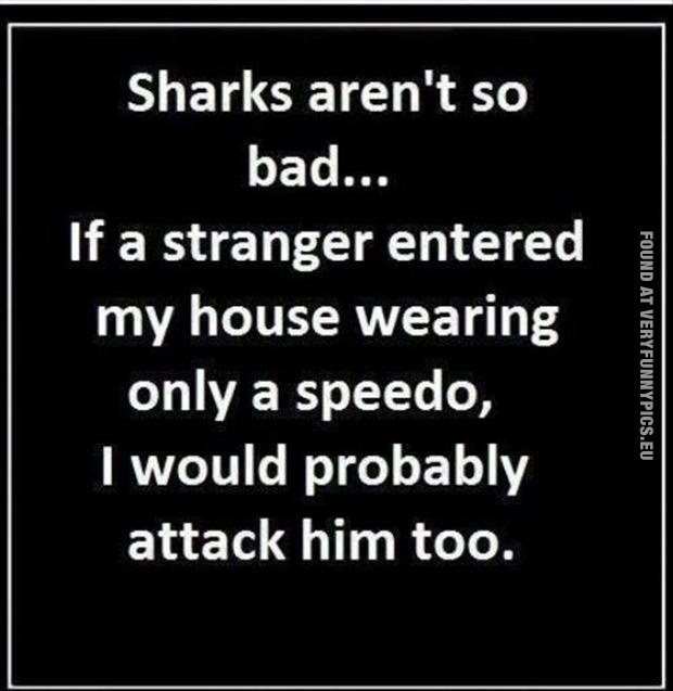 Funny Picture - Sharks aren't so bad