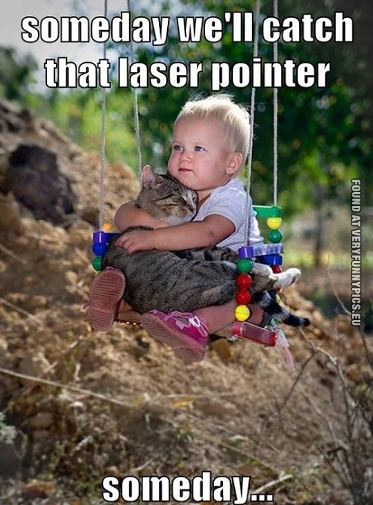 Funny Picture - Someday we'll catch that laser pointer - Someday... Kid and cat on swing