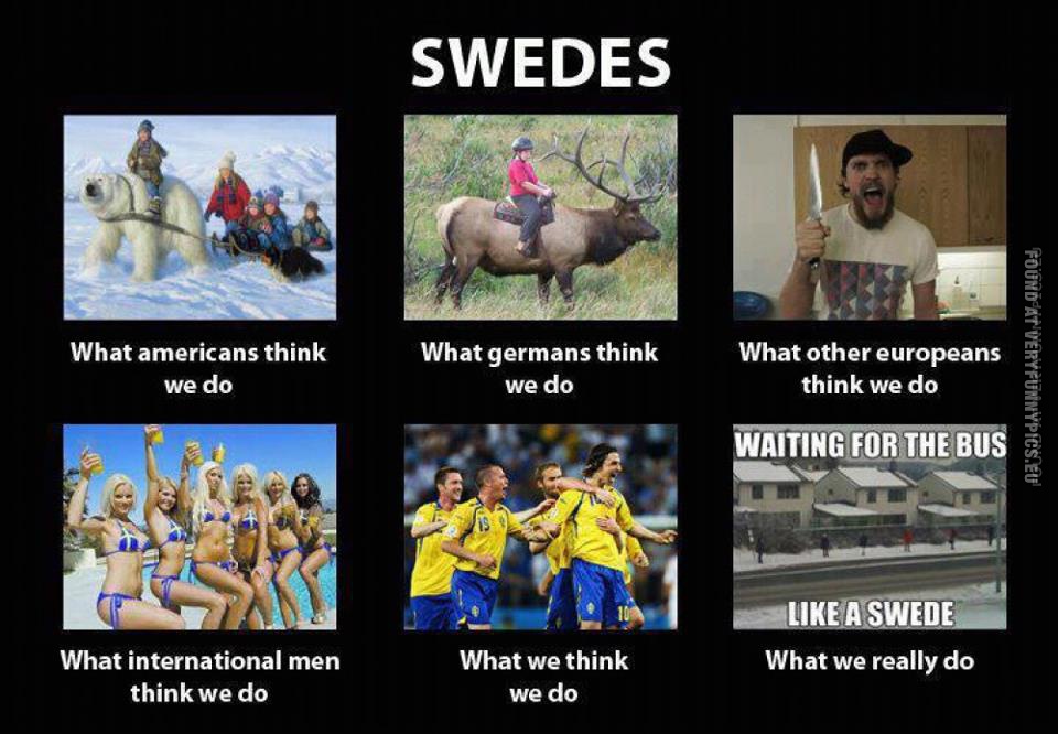 Funny Picture - Swedes - Expectation VS Reallity