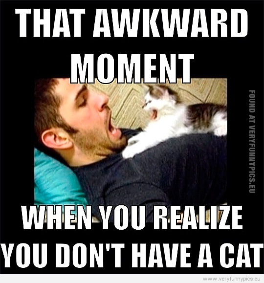 Funny Picture - That awkward moment when you realize you don't have a cat