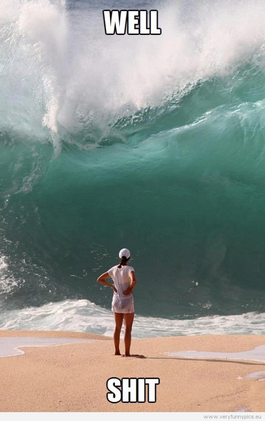 Funny Picture - Well, shit - Big wave in front of woman at beach