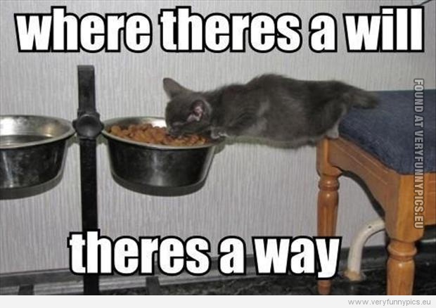 Funny Picture - Where theres a will theres a way
