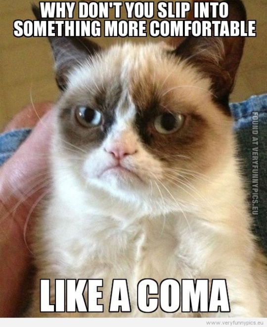 Funny Picture - Why don't you slip into something more comfortable, like a coma? Grumpy cat
