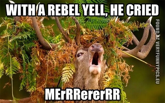 Funny Picture - With a rebel yell, he cried merrrererrr