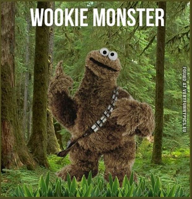 Funny Picture - Wookie monster