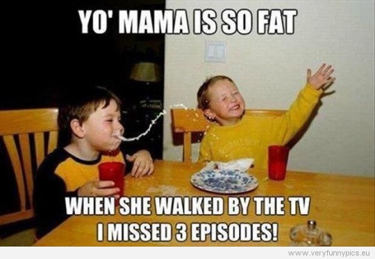 Funny Picture - Yo' mama is so fat - When she walked by the TV i missed 3 episodes
