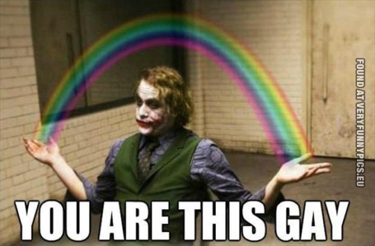 Funny Picture - You are this gay - The Joker shows you how gay you are