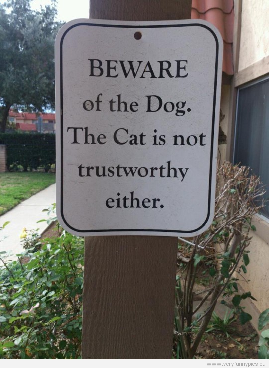 Funny Pictures - Beware of the dog - The cat is not trustworthy either