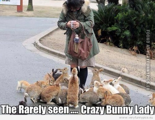 Funny Pictures - FThe rarely seen crazy bunny lady