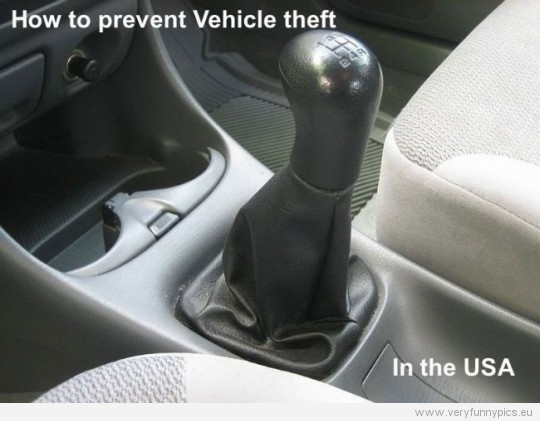 Funny Pictures - How to prevent Vehicle theft in the USA