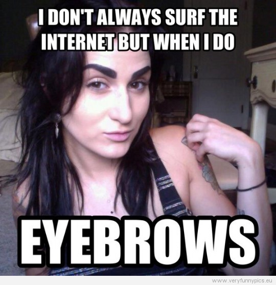 Funny Pictures - I don't always surf the internet but when i do eyebrows
