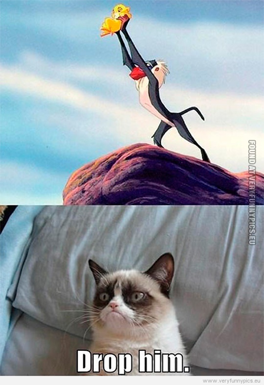 Funny Pictures - Lion King - Drop him - Grumpy Cat