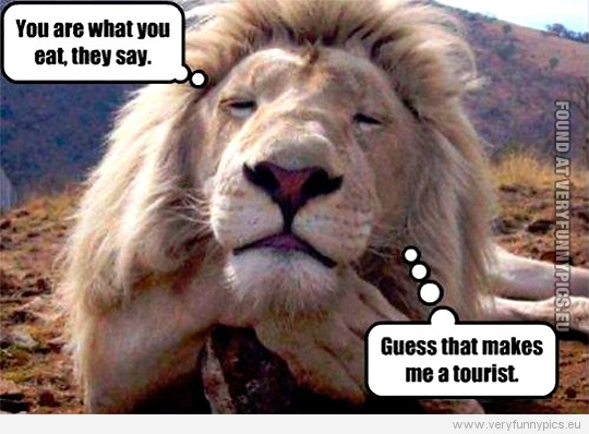 Funny Pictures - Lion - You are what you eat, they say - Guess that makes me a tourist