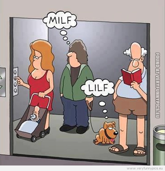 Funny Pictures - MILF VS LILF
