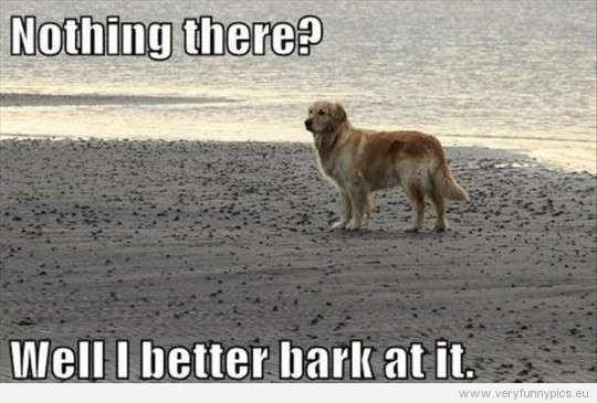 Funny Pictures - Nothing there? Well i better bark at it
