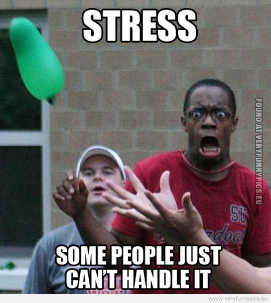 Funny Pictures - Stress some people just can't handle it