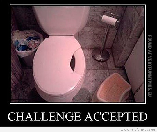 Funny Picuture - Challenge accepted - Broken toilet seat
