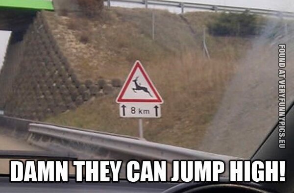 Funny Picture - Damn they can jump high