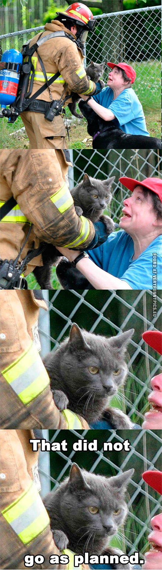 Funny Picture - Evil cat gets saved from the fire