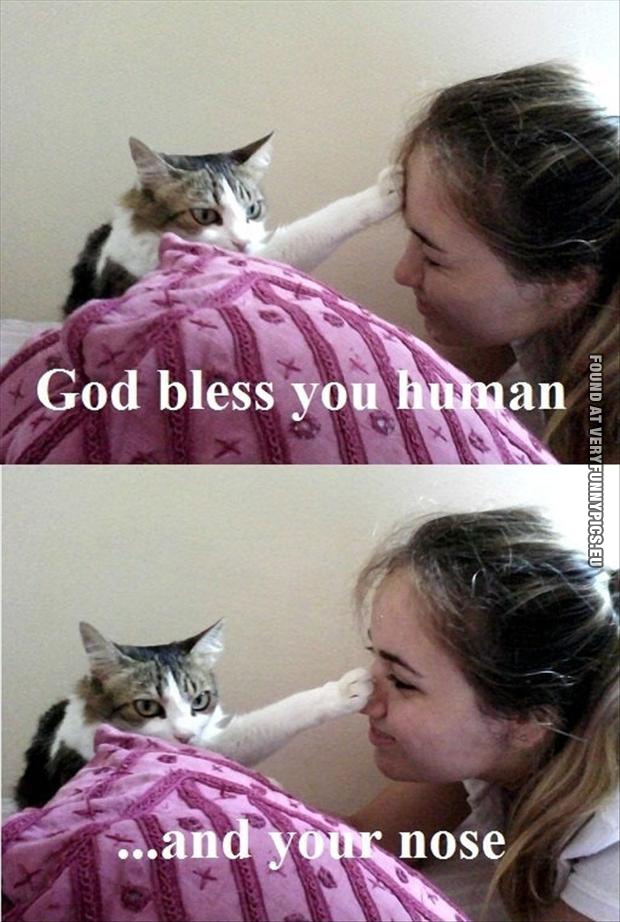 Funny Picture - God bless you human - And your nose
