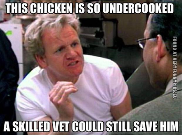 Funny Picture - Gordon Ramsay quote - That chicken is so undercooked a skilled vet could still save him