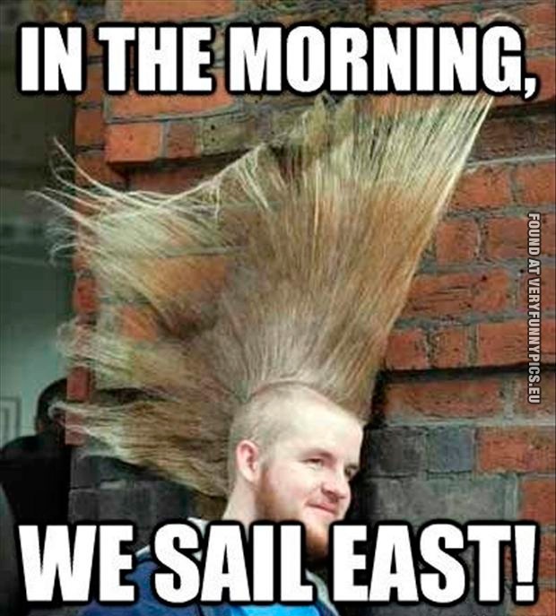 Funny Picture - In the morning, we sail east!