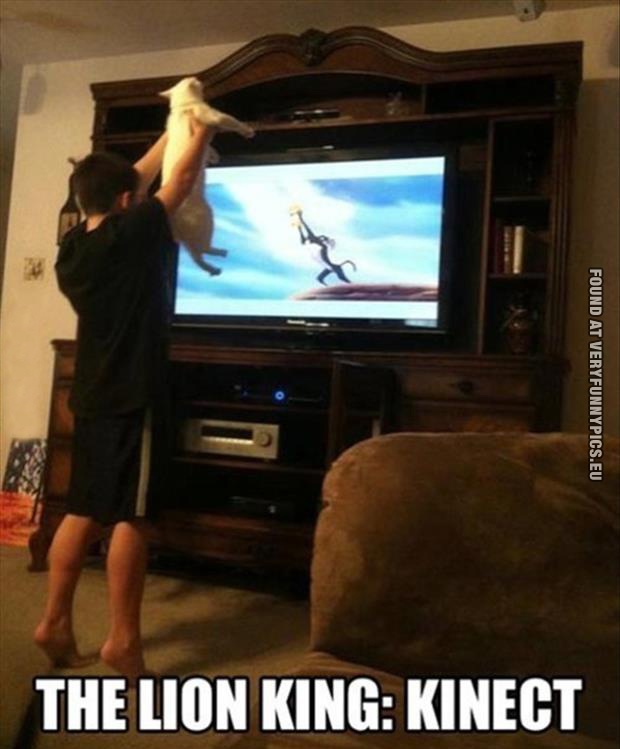 Funny Picture - Lion king: Kinect