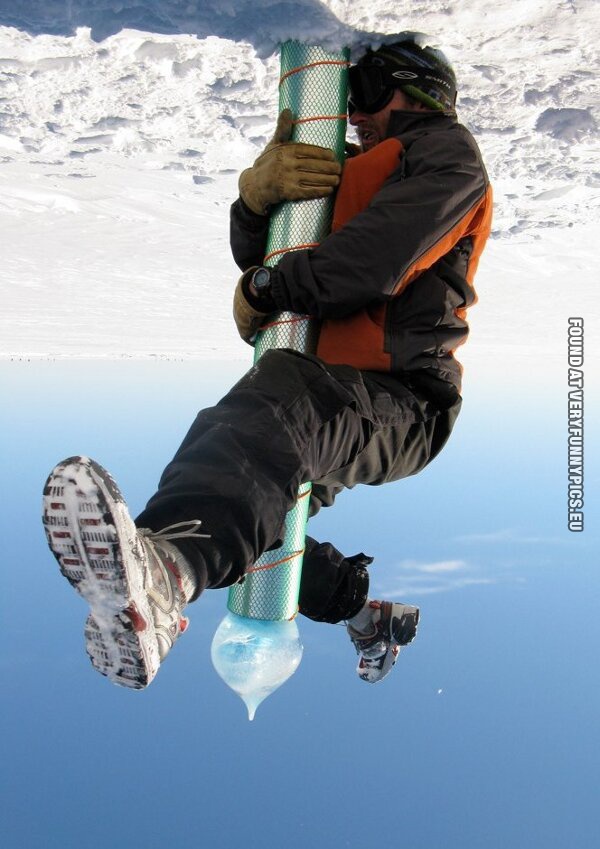 Funny Picture - Meanwhile on the south pole