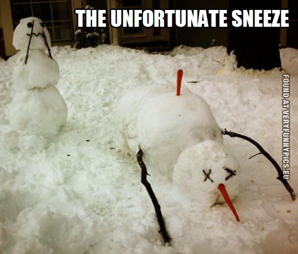 Funny Picture - The unfortunate sneeze - Snowman gets carrot in the back